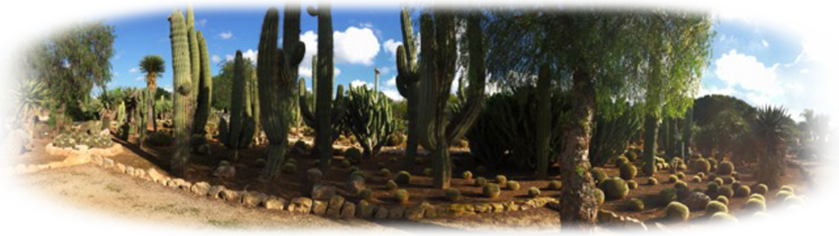 Botani Cactus Der botanische Garten Mallorca