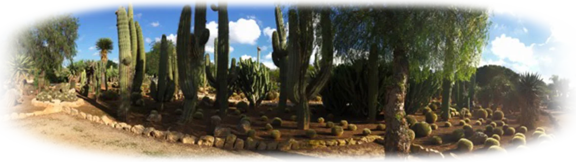 Der botanische Garten Mallorca